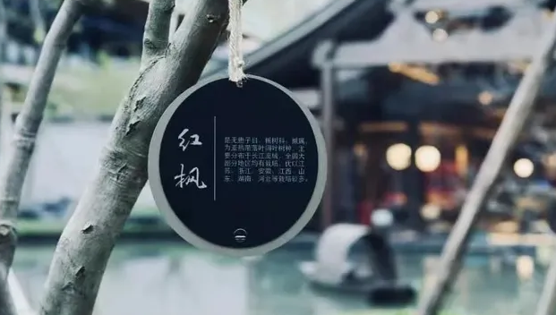 上海球友会作品案例展示