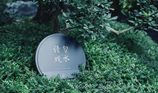 上海球友会作品案例展示