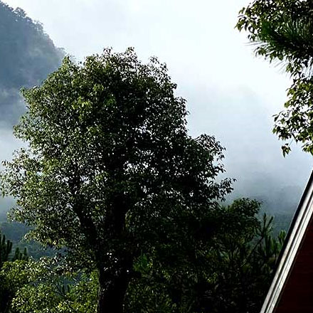 江山公司的球友会
